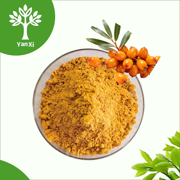 Sea Buckthorn Powder Bulk Sea Buckthorn Powder Bulk